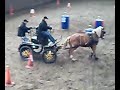 29112008081.mp4
