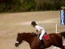 gran yegua saltando