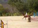 gran yegua saltando