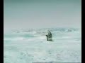 Sorprendido por la orca