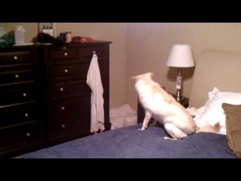 scrabble cheat scrabble cheat