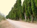 Castello di Cacchiano in Chianti Tuscany Italy