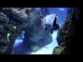 World's First Science Fiction in Autotune: Cavernauts