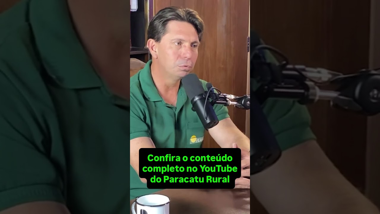 O Acordo que Salvou o Feijão: Vazio Sanitário, Desafios e o Futuro do Mercado.