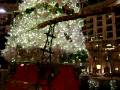 hotel gaylord resort, Dallas, Texas