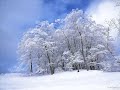 Aceasta cantare prietene iti va spune de un imparat care s-a umilit lasand Slava Cerurilor pentru tine!Nascundu-se intr-o iesle El un imparat a fost ascultator pana la moarte in locul tau!