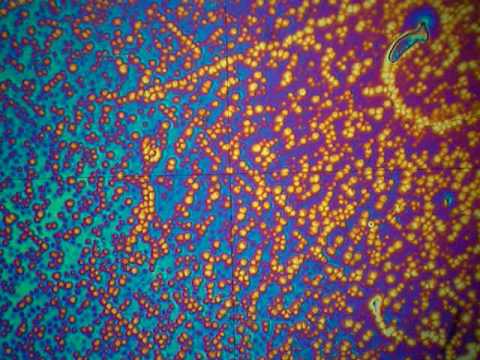 TN Liquid Crystal
