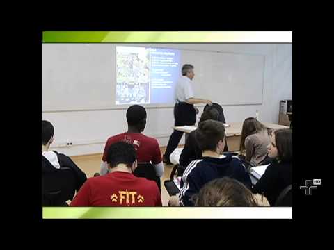 História das Relações Internacionais - Aula 8 - O Islã e o Império Otomano: Emergência e Declínio - Parte 2