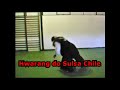 kwan bop sulsa Chile