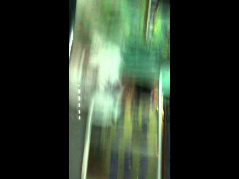 Bumsex - 