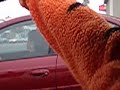 Tiger dancin reggetonton