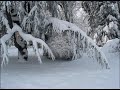 mulhouse-rca.html