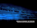 Hardwell & Funkadelic Get Down Girl Official Music Video and Lyrics