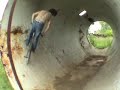 Troy Merkle in Perspectivesbmx.com's Let the Good Times Roll