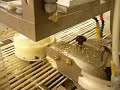 Robotic Cake Decorating Line Supplied by PPN