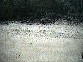 Cr250 Test2