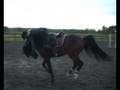 videos de Mamma och Baggio