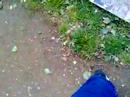 my broken ankle my broken ankle