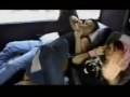 videos de DyP - Amor Forever