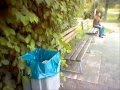 How to throw cans in the bin 1