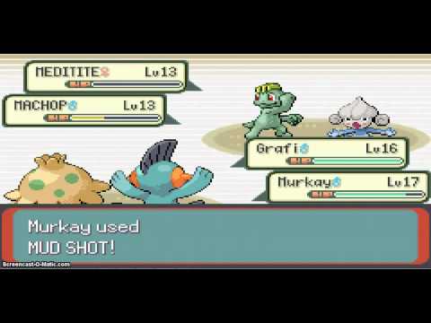 how to get black belt in pokemon emerald
