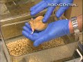 Inherited Obesity Inherited Obesity