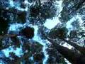 enviroscape