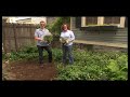 Planting Your New Bed