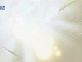 Eureka Seven Move