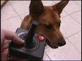 CGRHD reviews ATARI 2600 Controller