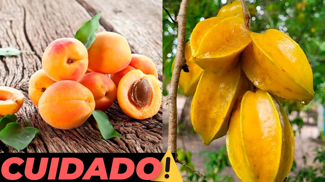 As 7 Frutas Mais Perigosas Do Mundo Que Você Deve Tomar Cuidado