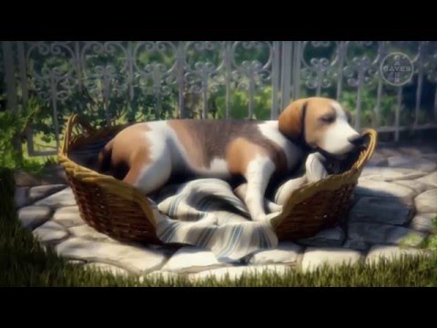 Imagen de previsualización de YouTube