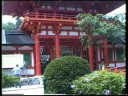 かきつばた記念動画16
