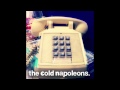 Carly Rae Jepsen - Call Me Maybe (Cold Napoleons Remix)