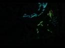 Vospertron Short Show Reel Vospertron Short Show Reel