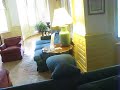 svu Main Hall Couch Monster
