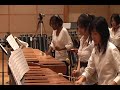 Chicago Symphony Percussion Scholarship Group