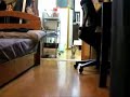 Stealth Cat Mission Impossible