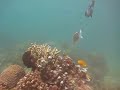 cleaning station.avi