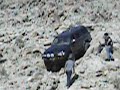 BruceTS 4Runner Rockcrawlin BruceTS 4Runner Rockcrawlin