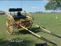 The Carriage Ride.wmv
