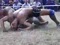 Tribute to traditional grass wrestling