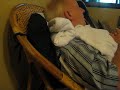 Snoring Chiang Mai Guy