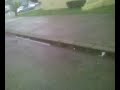 Bashed Car Bashed Car