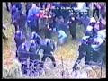 Nota Mentula - Policja