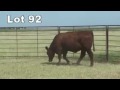 Lot 92 U815