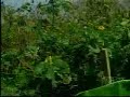 YouTubeサムネイル[IFBKHI7aq2c] - 3枚目