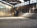 videos de Zilver Dream