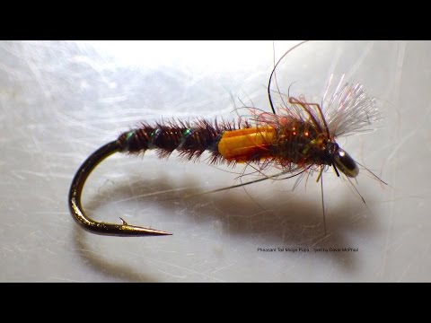 how to dye squirrel tails