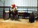 dolly-10yr-old-calf-horse-for-sale.html
